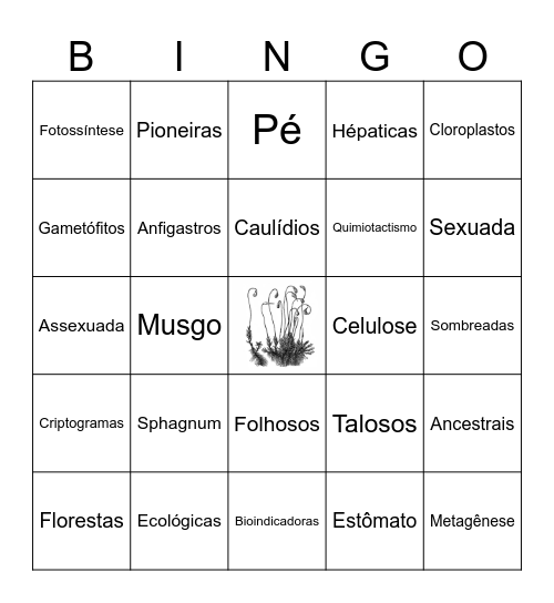 BRIÓFITAS Bingo Card