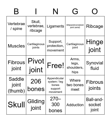 Skeletal System Review Bingo Card
