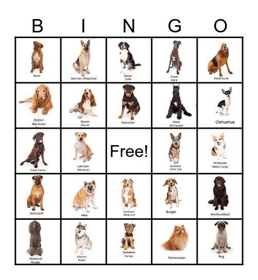 Dog Breed Bingo Card