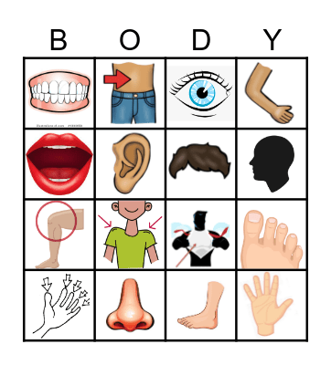BODY PARTS no word 4x Bingo Card