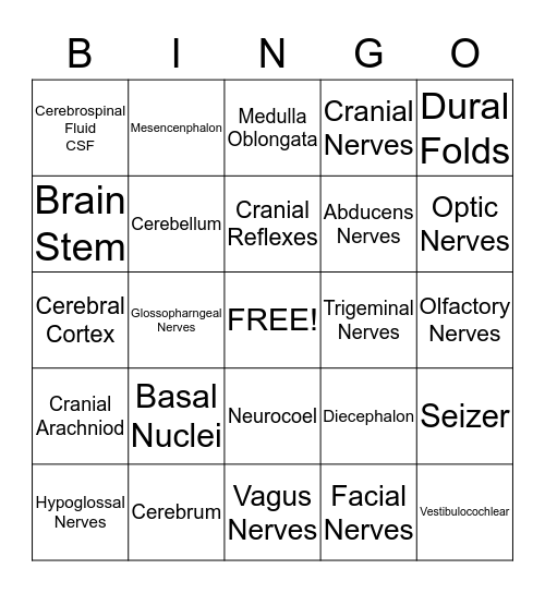 The Brain & The Cranial Nerves Bingo Card