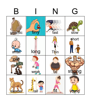 Adjectives- Flyers Bingo Card