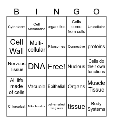 Cells 3 - cell theory & organelles Bingo Card