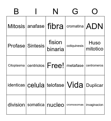 Division celular Bingo Card
