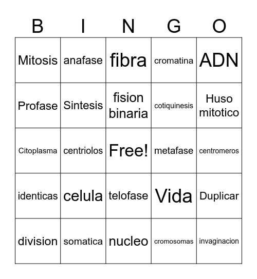 Division celular Bingo Card