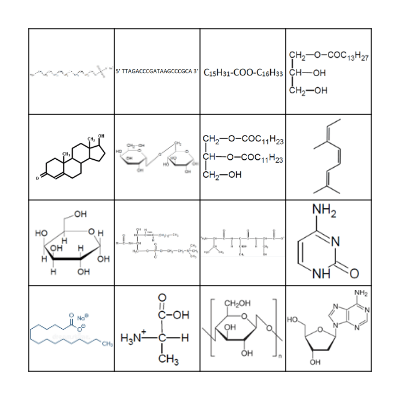 Biomolécules Bingo Card