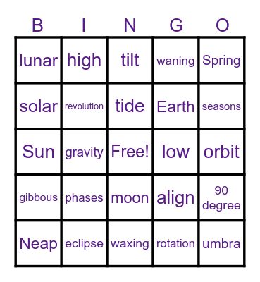 Patterns & Cycles Bingo Card