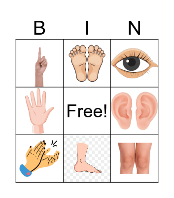 Body parts Bingo Card