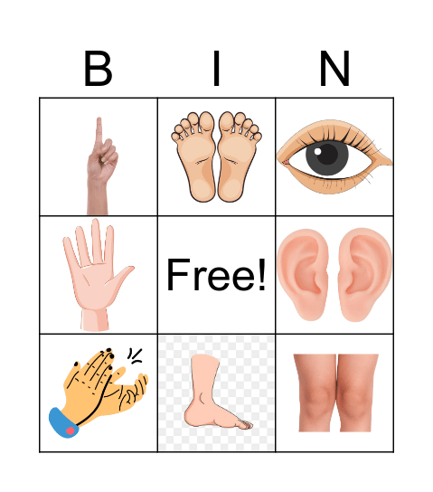 Body parts Bingo Card