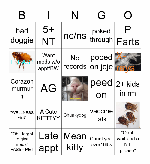 Veterinary Medicine Bingo Card