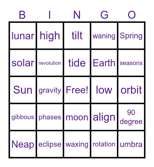 Patterns & Cycles Bingo Card