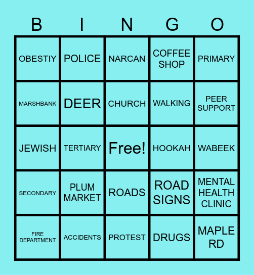 WEST BLOOMFIELD WINDSHIELD SURVEY Bingo Card