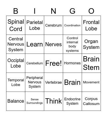 Q2W7 Medical Forensics Nervous System Bingo Card