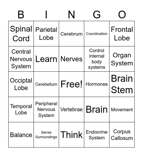 Q2W7 Medical Forensics Nervous System Bingo Card