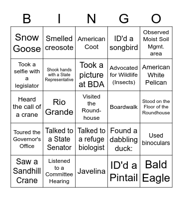 BDA & Roundhouse Field Trip Bingo Card
