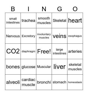 Body Systems Bingo Card