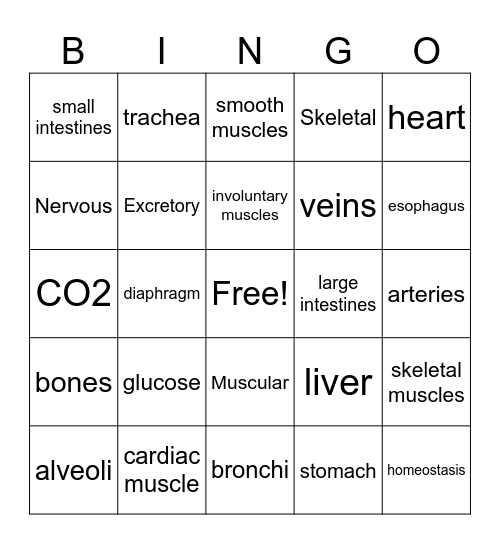 Body Systems Bingo Card
