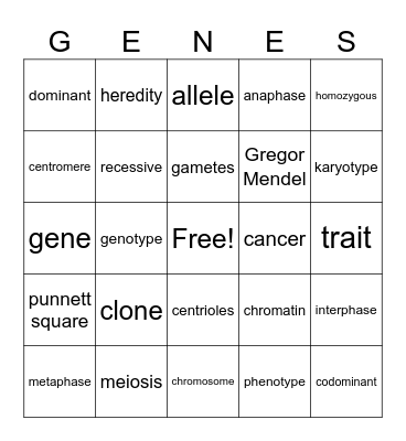 Genetics Bingo Card