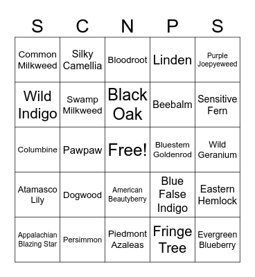 SC NATIVE PLANT BINGO Card