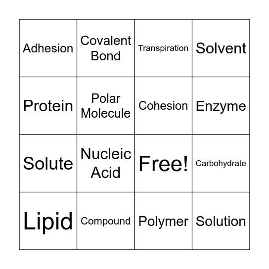 Biomolecules & Properties of Water Bingo Card