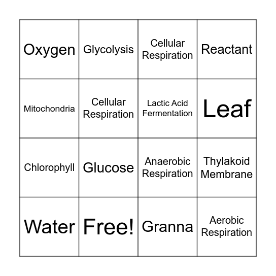 Cellular Respiration & Photosynthesis Bingo Card
