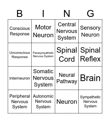 Nervous System Bingo Card