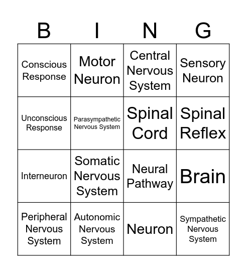 Nervous System Bingo Card