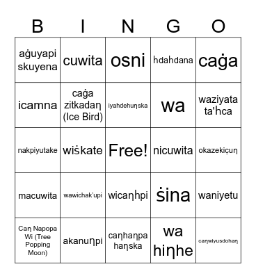 Dakota Winter Bingo Card