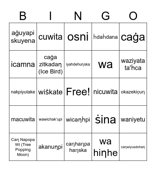 Dakota Winter Bingo Card