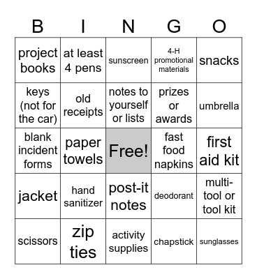 4-H Educator Car BING Bingo Card