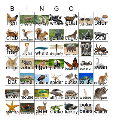 Animals Bingo Card