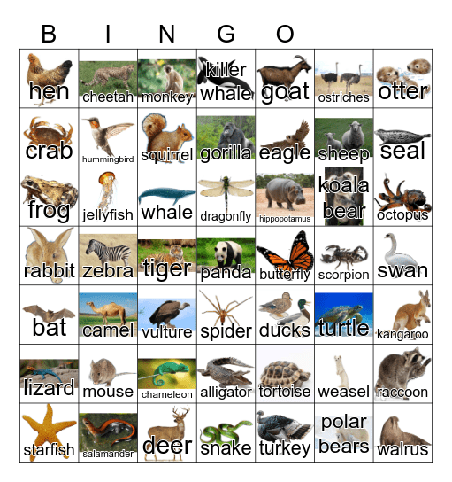 Animals Bingo Card