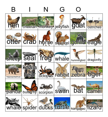 Animals Bingo Card