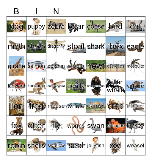 Animals Bingo Card