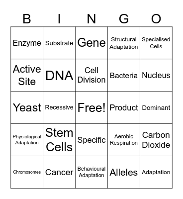 S3 Revision Bingo Card