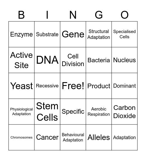 S3 Revision Bingo Card