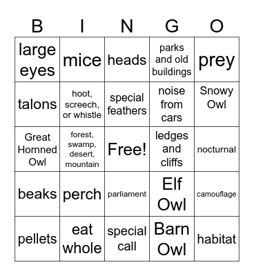 The Owl Bingo Card