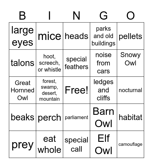 The Owl Bingo Card