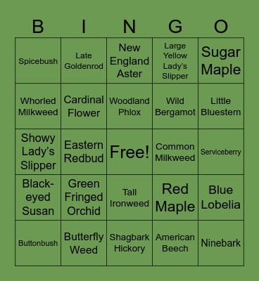 Native Ohio Plants Bingo Card