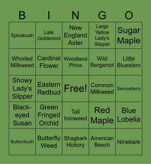 Native Ohio Plants Bingo Card