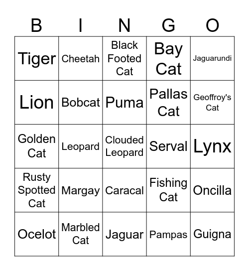 Belize Wild Cat Bingo Card