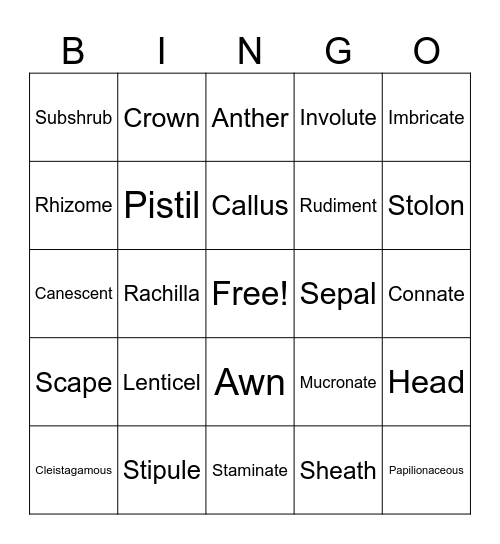 Wildland Plants Bingo Card