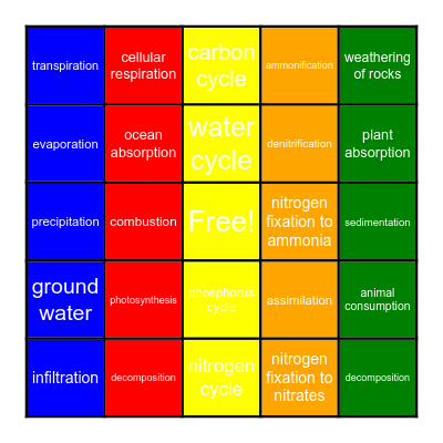 Cycles Bingo Card
