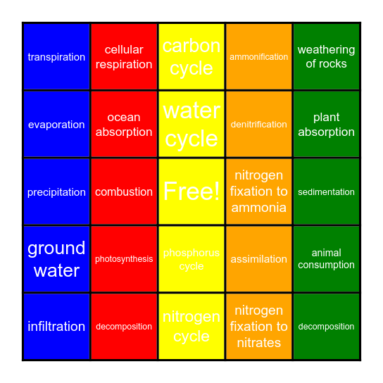 Cycles Bingo Card