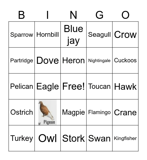Birds of a Feather Bingo Card