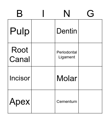 Dental Anatomy Bingo Card