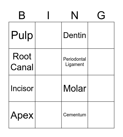 Dental Anatomy Bingo Card