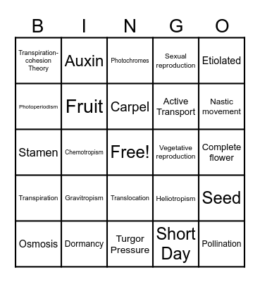 Biology Bingo Plants Physiology Bingo Card