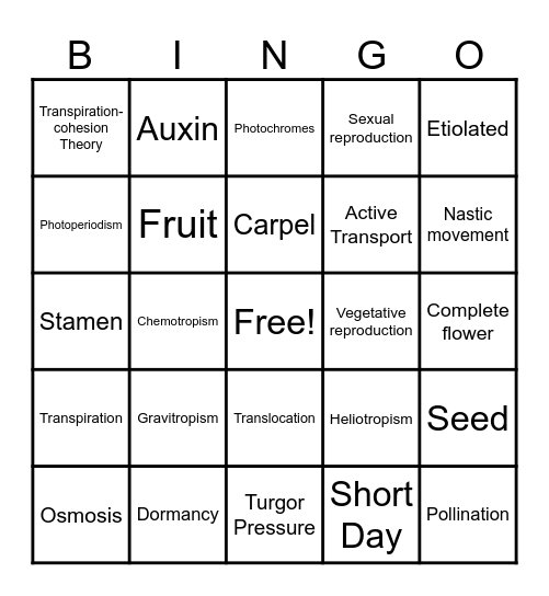 Biology Bingo Plants Physiology Bingo Card