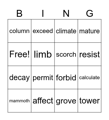 Worldly Wise 4th: lesson 2 Bingo Card